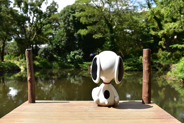 Snoopy Garden Jeju