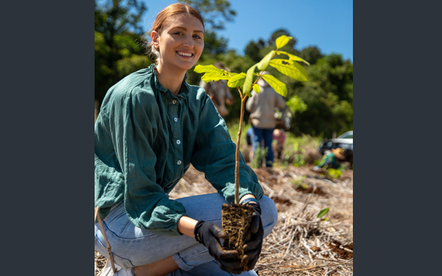 Tree_planting_(2)_640-v2_copy