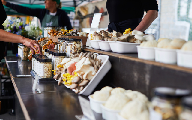 Credit-Rennee_Hodskiss_Photography_1_640