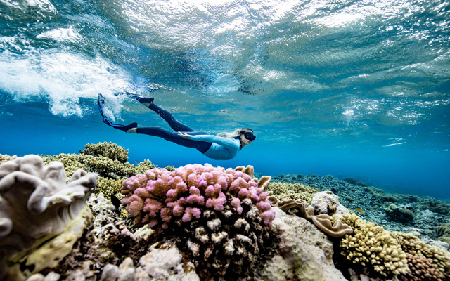 1_GBR_Biology_marine_biologist_Brittany_Wassing_at_Moore_Reef_on_the_Great_Barrier_Reef._Image_Luke_Marsden_640