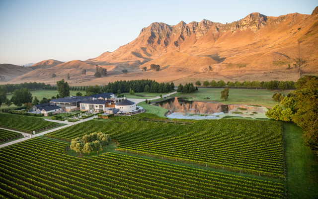 Hawke’s Bay sets grape expectations with recent conference win