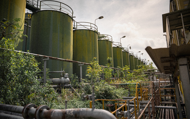 Explore Singapore’s raw side with Hidden Heritage