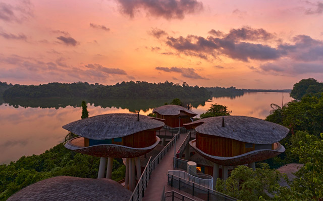 Mandai_Rainforest_Resort_by_Banyan_Tree_Key_Visual_640