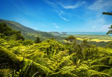 Cairns secures 6th World Ecoacoustics Congress for 2026